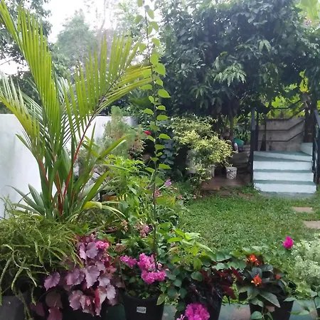 Jungle View One Bedroom Private Apartment Unawatuna Exterior photo