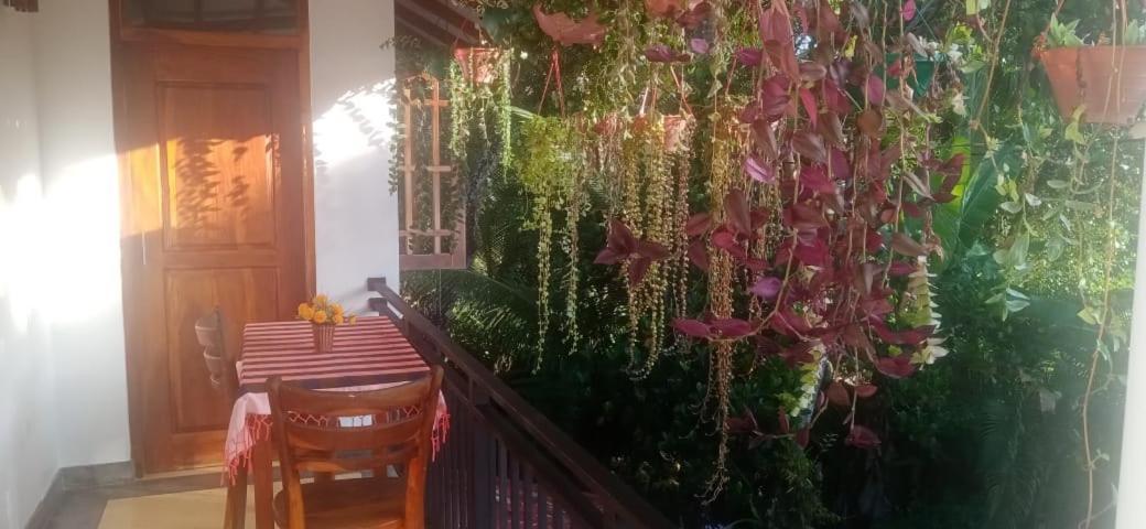 Jungle View One Bedroom Private *