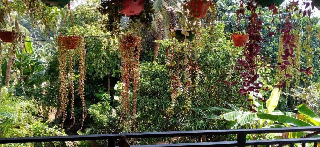 Apartment Jungle View One Bedroom Private *