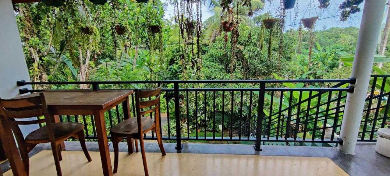 Jungle View One Bedroom Private Apartment